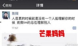 陈翔芒果最新爆料,揭秘娱乐圈不为人知的幕后故事